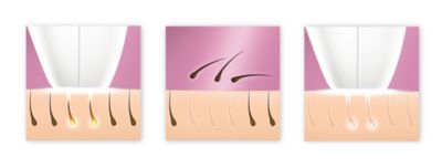 Enjoy smooth skin every day