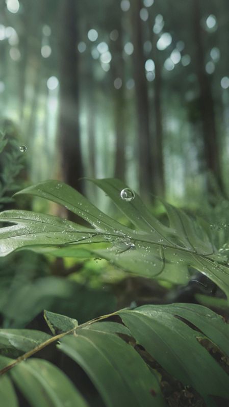 Philips-water-sustainability-