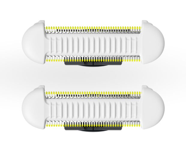 OneBlade 2 x SkinProtect Blade