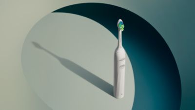 Guided brushing sessions