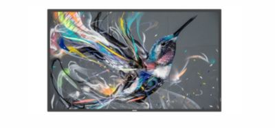Signage Solutions Q-Line Display 43BDL3511Q/00 | Philips