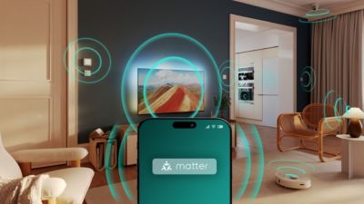 Se conecteaza perfect la retelele inteligente de acasa