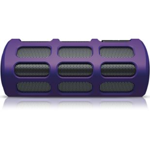 wireless portable speaker