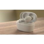 Seus sons. Seus movimentos.