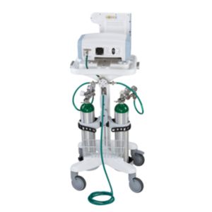 Enlarged view of picture