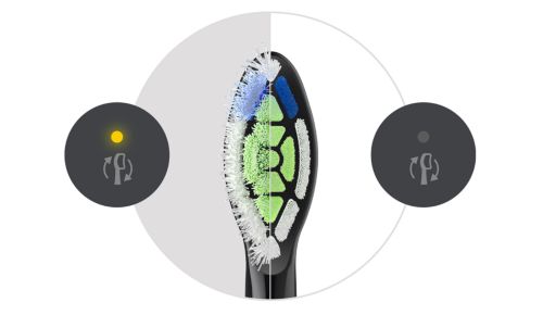 Putzen Sie weiterhin mit optimaler Leistung dank Erinnerungsfunktion zum Austauschen des Bürstenkopfes