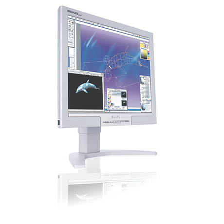 200P7EG/00 Brilliance LCD-monitor