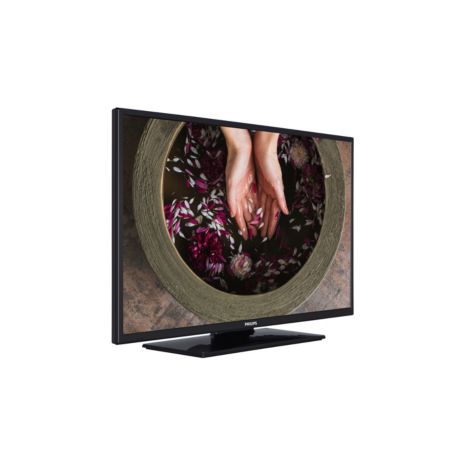 55HFL2879T/12  Professionele TV