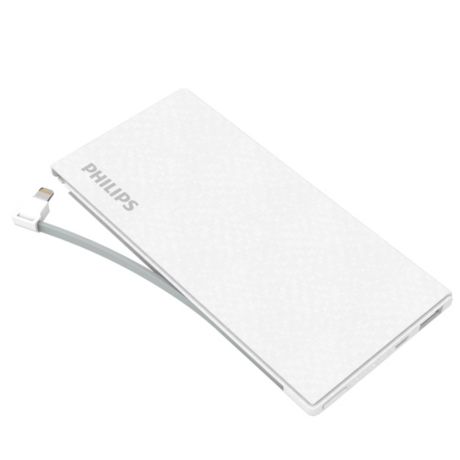 DLP1130V/93  USB 移动电源