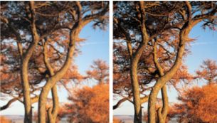 Högupplöst JPEG-visning för bilder i rätt upplösning