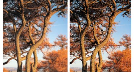 High definition JPEG playback for images in true resolution