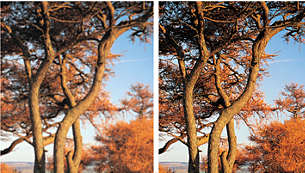 Zobrazenie obrázkov formátu JPEG s vysokým rozlíšením v skutočnom rozlíšení