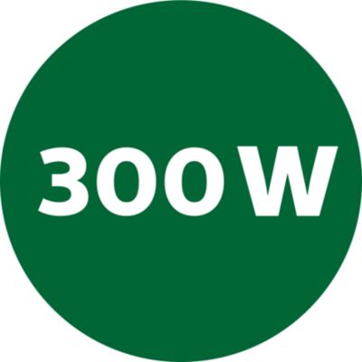 Powerful 300 W motor