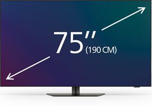 75-77 inch TVs