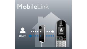 All calls - mobile and landline - on one phone