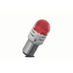 Насладете се на трайна яркост