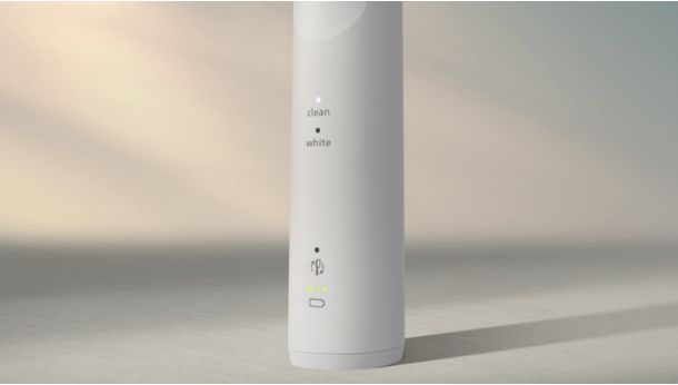 Kuni 21 päeva harjamist ühe laadimisega