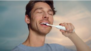 Guided brushing sessions