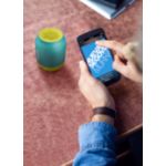 Big sound that fits in a fist