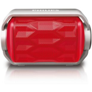 wireless portable speaker