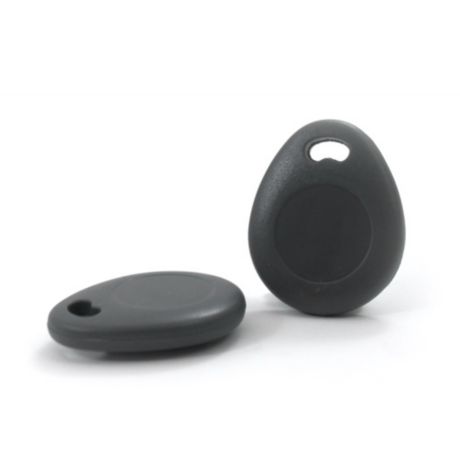 DES1000ACI/10 WelcomeEye Tag Philips RFID-badge