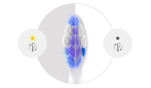 Putzen Sie weiterhin mit optimaler Leistung dank Erinnerungsfunktion zum Austauschen des Bürstenkopfes