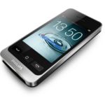 All calls, landline and mobile, on one phone