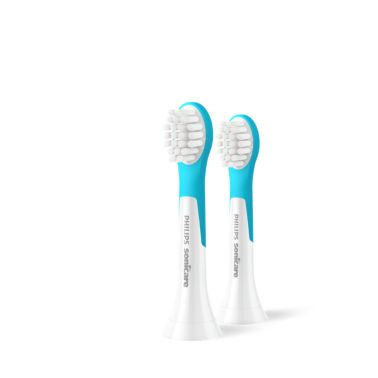 2-pack brush heads