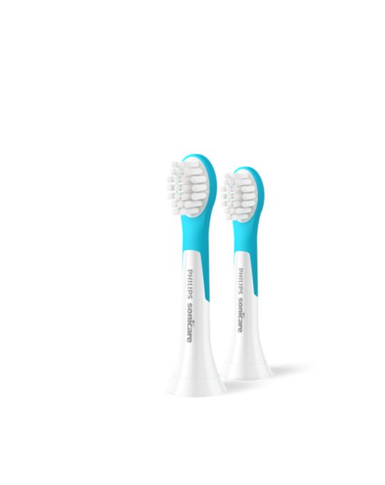 Standard Product Photograph