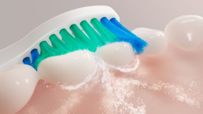 Sonicare Fluid Action