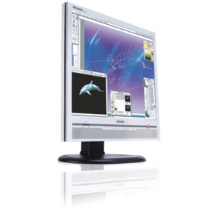 Brilliance 170P5ES LCD monitor