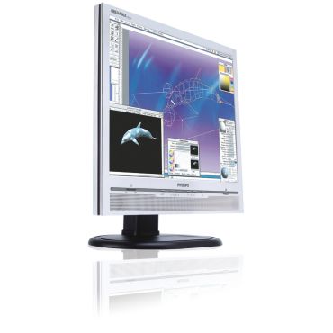 Brilliance LCD monitor