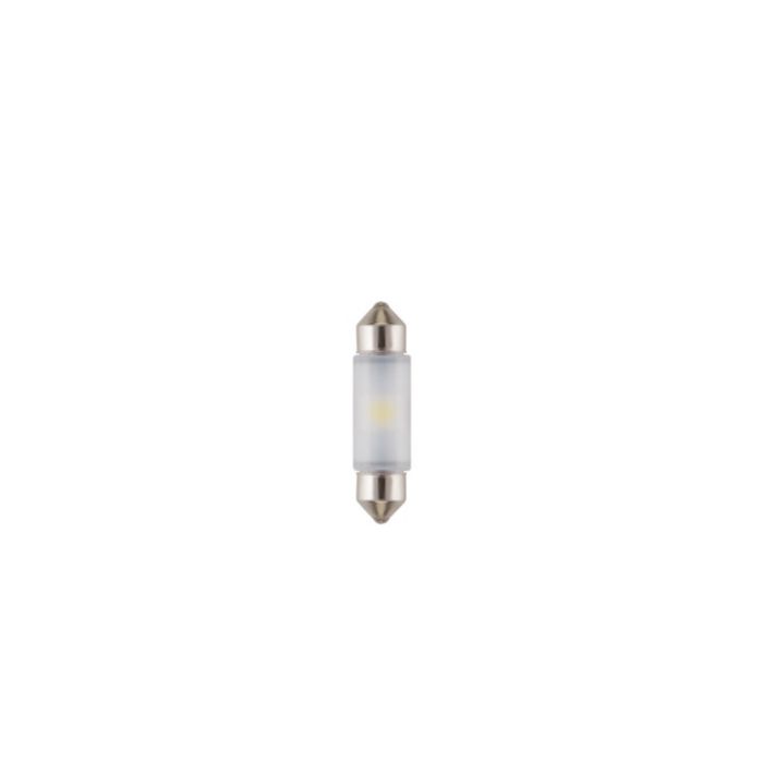 Lights that live on