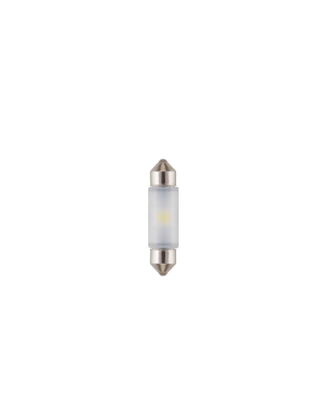 Lights that live on