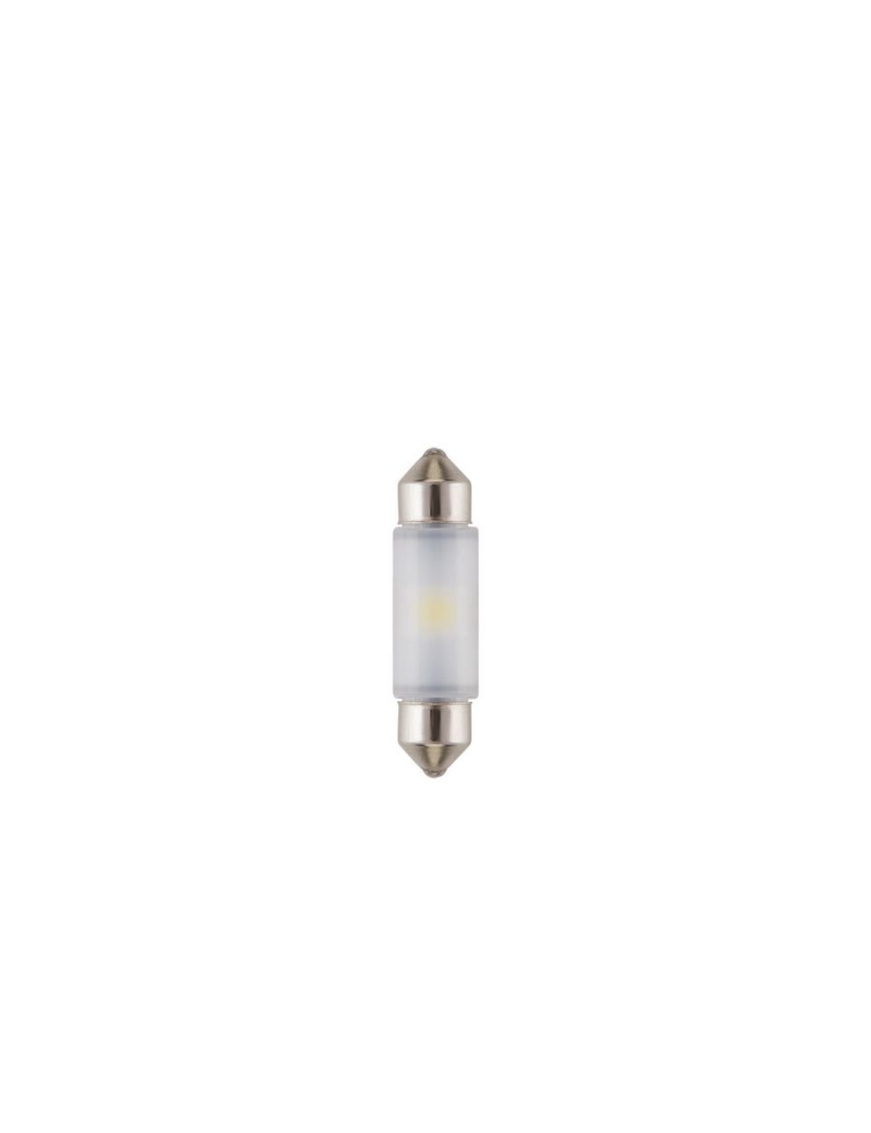 Lights that live on