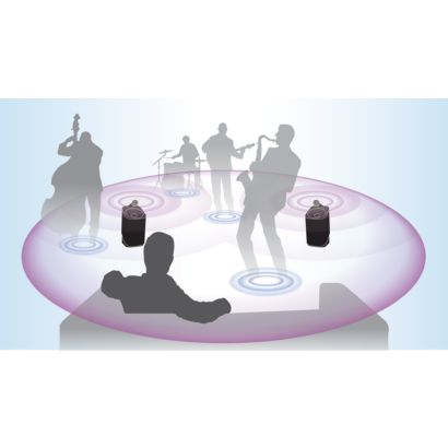 Izjūtiet koncertā valdošās emocijas