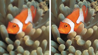 Technologie Pixel Plus 2 HD pro lepší detaily, sytost a čistotu