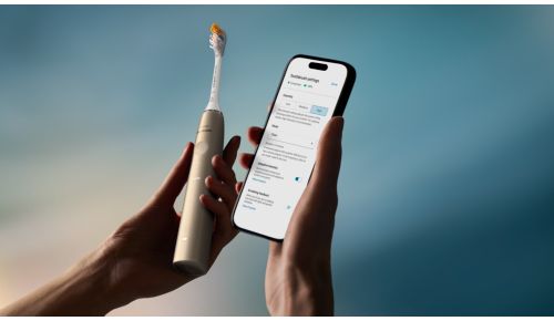 Wählen Sie Ihr ideales Putzerlebnis