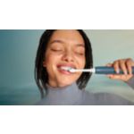 Essential Care for healthy teeth and gums