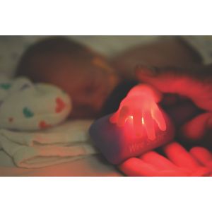 Enlarged view of picture