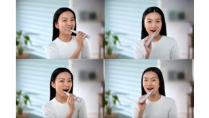 Optimize your brushing with SmarTimer and QuadPacer