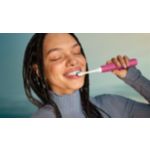 Essential Care for healthy teeth and gums