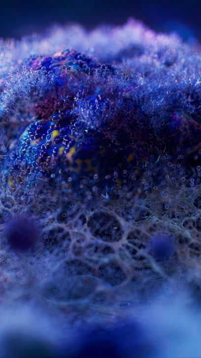 Bacteria growing in the mouth at night