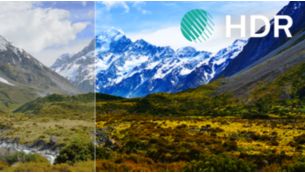 Disfruta de un excelente contraste, color y nitidez con HDR Premium
