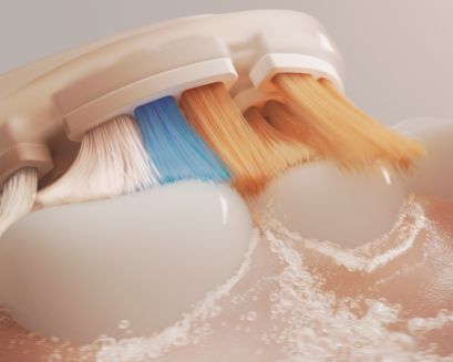 A brush head cleaning teeth.
