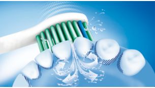 Sonicare dynamic cleaning action drives fluid between teeth