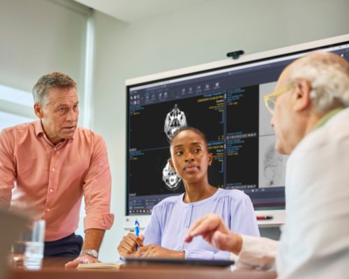 alt text for highlighted feature 2