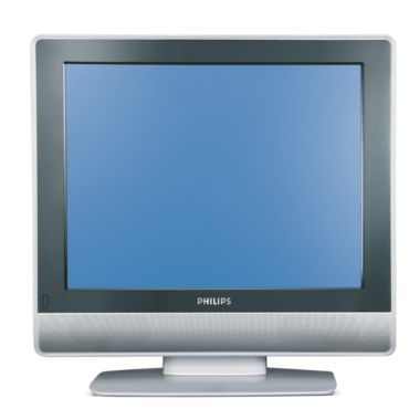 professional flat TV