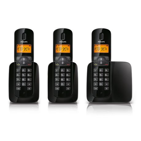 CD1813B/GB BeNear Cordless phone
