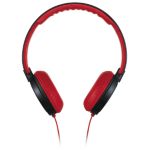 Por amor a la música